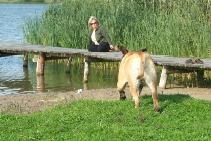 Mastiff Don Theo und Dogge Luna