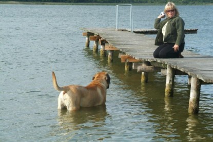 Mastiff Don Theo und Dogge Luna