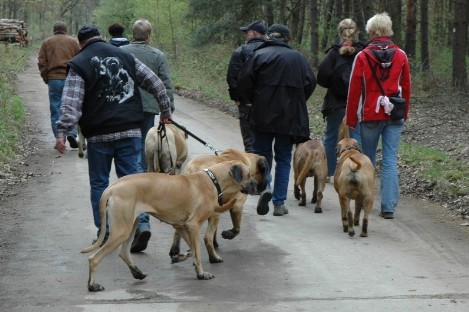 Seeblickbulls Bilderablum Luna in Spich