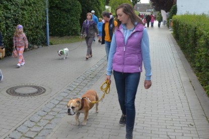 Continental Bulldogs Seeblickbulls Bilderalbum - mit Fiete an der Ostsee