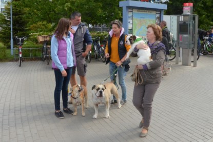 Continental Bulldogs Seeblickbulls Bilderalbum - mit Fiete an der Ostsee