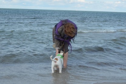 Continental Bulldogs Seeblickbulls Bilderalbum - mit Fiete an der Ostsee