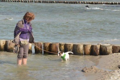 Continental Bulldogs Seeblickbulls Bilderalbum - mit Fiete an der Ostsee