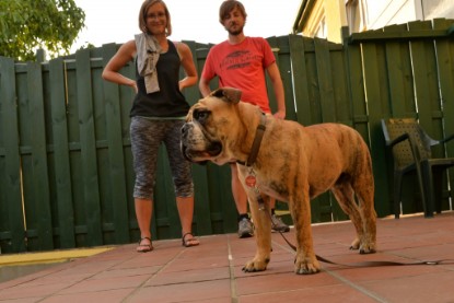 Continental Bulldogs Seeblickbulls Bilderalbum - General Willi zu Besuch