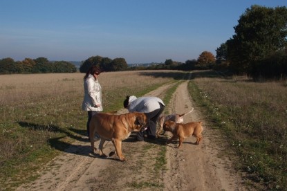 Continental Bulldogs Seeblickbulls Bilderalbum - Bulldog-Bogeys Babett