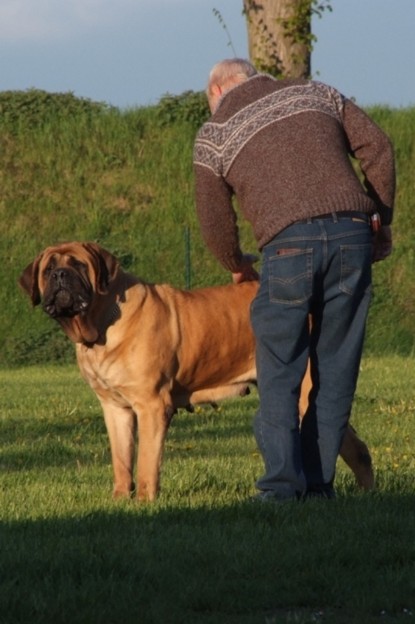 Continental Bulldogs Seeblickbulls Bilderalbum Busuch aus Holland