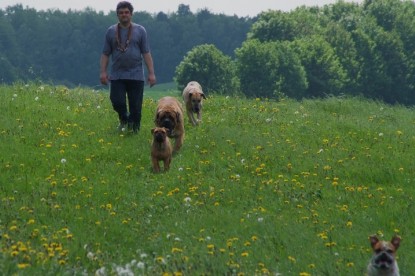 Continental Bulldogs Seeblickbulls Bilderalbum - Sommer 2010