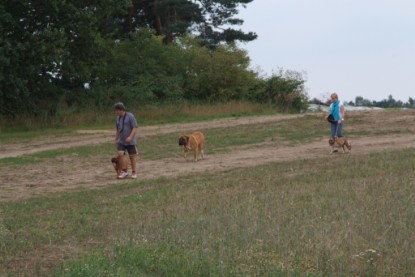 Continental Bulldogs Seeblickbulls Bilderalbum - Conti-Treff 2010