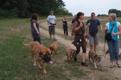 Continental Bulldogs Seeblickbulls Bilderalbum - Conti-Treff 2010