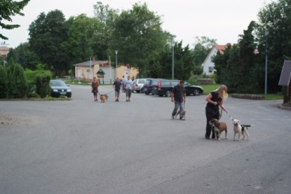 Continental Bulldogs Seeblickbulls Bilderalbum - Conti-Treff 2010