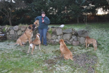 Continental Bulldogs Seeblickbulls Bilderalbum im Garten am 12. und 13. November 2011