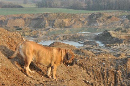 Continental Bulldogs Seeblickbulls Bilderalbum - Ausflug an den Grand Canyon