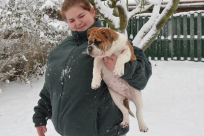 Continental Bulldogs Seeblickbulls Bilderalbum - Charlottes erster Schnee