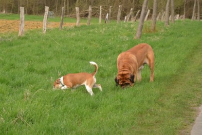 Continental Bulldogs Seeblickbulls Bilderalbum - Ausflüge Ende April 2013