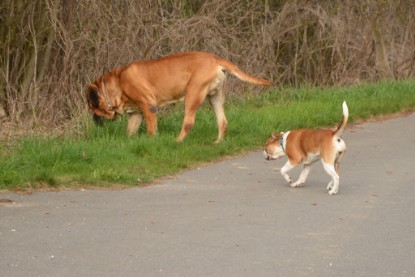 Continental Bulldogs Seeblickbulls Bilderalbum - Ausflüge Ende April 2013