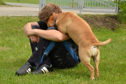 Continental Bulldogs Seeblickbulls Bilderalbum - Seeblickbulls Bertha-Erna zu Besuch