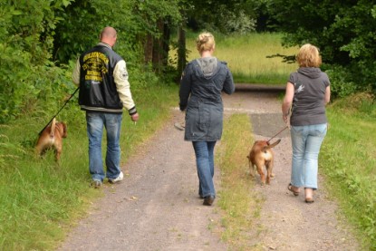 Continental Bulldogs Seeblickbulls Bilderalbum - Besuch bei Manfred