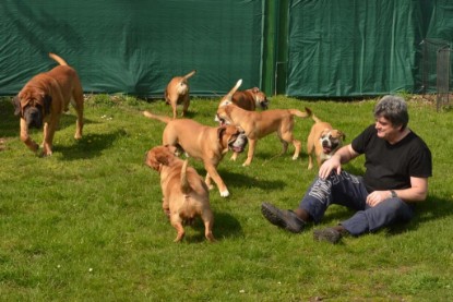 Continental Bulldogs Seeblickbulls Bilderalbum - Bilder vom April 2014