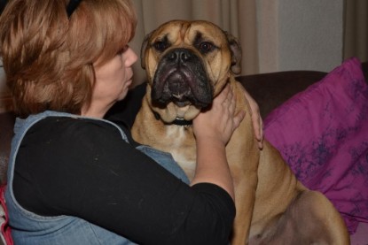 Continental Bulldogs Seeblickbulls Bilderalbum - Asgard zu Besuch