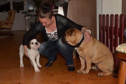 Continental Bulldogs Seeblickbulls Bilderalbum - Asgard zu Besuch