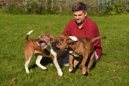 Continental Bulldogs Seeblickbulls Bilderalbum - Fiete zu Besuch