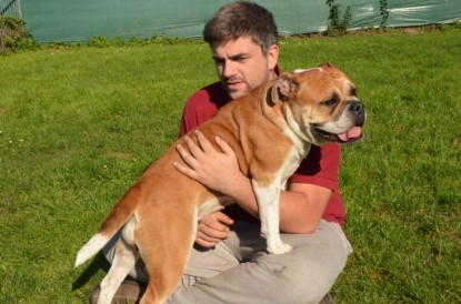 Continental Bulldogs Seeblickbulls Bilderalbum - Fiete zu Besuch