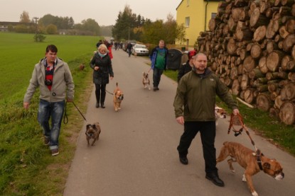 Continental Bulldogs Seeblickbulls Bilderalbum - Contitreff im Oktober 2014