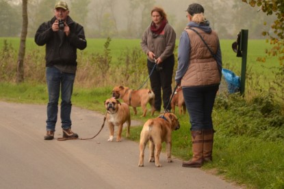 Continental Bulldogs Seeblickbulls Bilderalbum - Contitreff im Oktober 2014