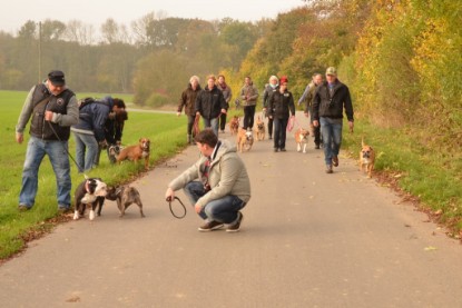 Continental Bulldogs Seeblickbulls Bilderalbum - Contitreff im Oktober 2014