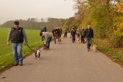 Continental Bulldogs Seeblickbulls Bilderalbum - Contitreff im Oktober 2014