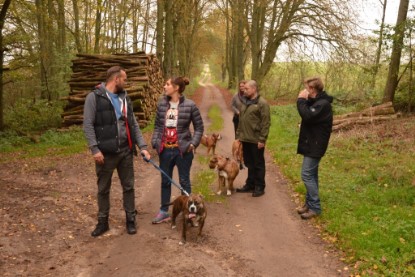 Continental Bulldogs Seeblickbulls Bilderalbum - Contitreff im Oktober 2014