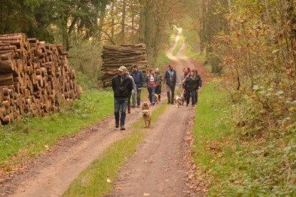 Continental Bulldogs Seeblickbulls Bilderalbum - Contitreff im Oktober 2014