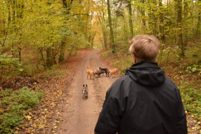 Continental Bulldogs Seeblickbulls Bilderalbum - Contitreff im Oktober 2014