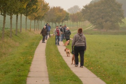 Continental Bulldogs Seeblickbulls Bilderalbum - Contitreff im Oktober 2014