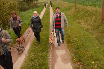 Continental Bulldogs Seeblickbulls Bilderalbum - Contitreff im Oktober 2014