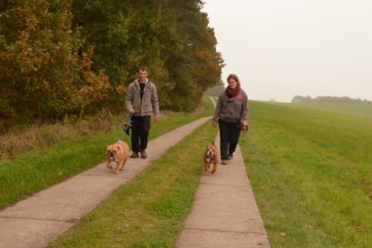 Continental Bulldogs Seeblickbulls Bilderalbum - Contitreff im Oktober 2014