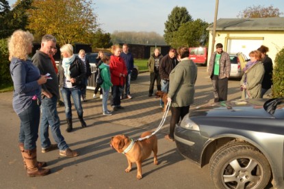 Continental Bulldogs Seeblickbulls Bilderalbum - Contitreff im Oktober 2014