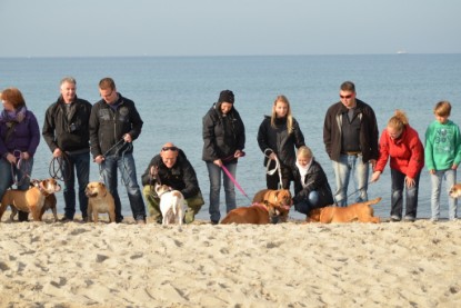 Continental Bulldogs Seeblickbulls Bilderalbum - Contitreff im Oktober 2014