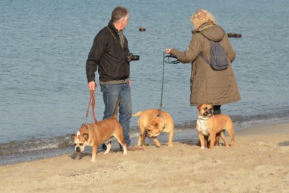 Continental Bulldogs Seeblickbulls Bilderalbum - Contitreff im Oktober 2014