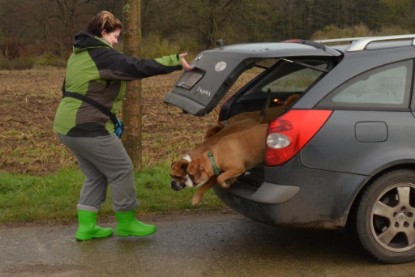 Continental Bulldogs Seeblickbulls Bilderalbum - Waldwanderung