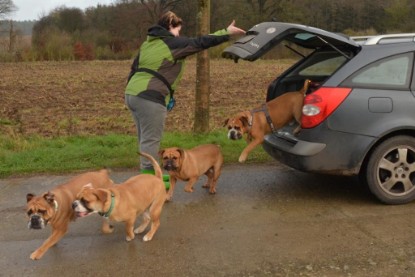 Continental Bulldogs Seeblickbulls Bilderalbum - Waldwanderung