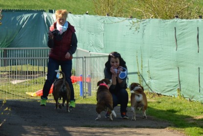 Continental Bulldogs Seeblickbulls Bilderalbum - First Milow zu Besuch