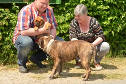 Continental Bulldogs Seeblickbulls Bilderalbum - Attila zu Besuch