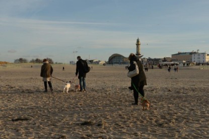 Continental Bulldogs Seeblickbulls Bilderalbum - Ostsee am 25.12.2015