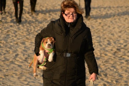 Continental Bulldogs Seeblickbulls Bilderalbum - Ostsee am 25.12.2015