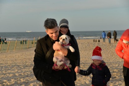 Continental Bulldogs Seeblickbulls Bilderalbum - Ostsee am 25.12.2015