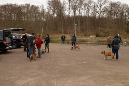 Continental Bulldogs Seeblickbulls Bilderalbum - Conti-Treff April 2016