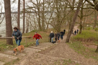 Continental Bulldogs Seeblickbulls Bilderalbum - Conti-Treff April 2016