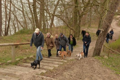 Continental Bulldogs Seeblickbulls Bilderalbum - Conti-Treff April 2016