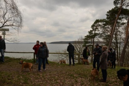 Continental Bulldogs Seeblickbulls Bilderalbum - Conti-Treff April 2016